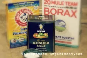 homemade dishwasher detergent ingredients