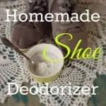 homemade shoe deodorizer