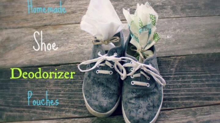 Homemade Shoe Deodorizer Sachets