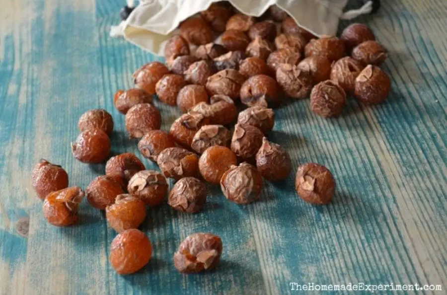 soap nuts for making homemade laundry detergent