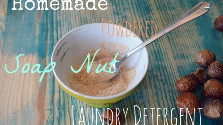 homemade powdered laundry detergent with soap nuts