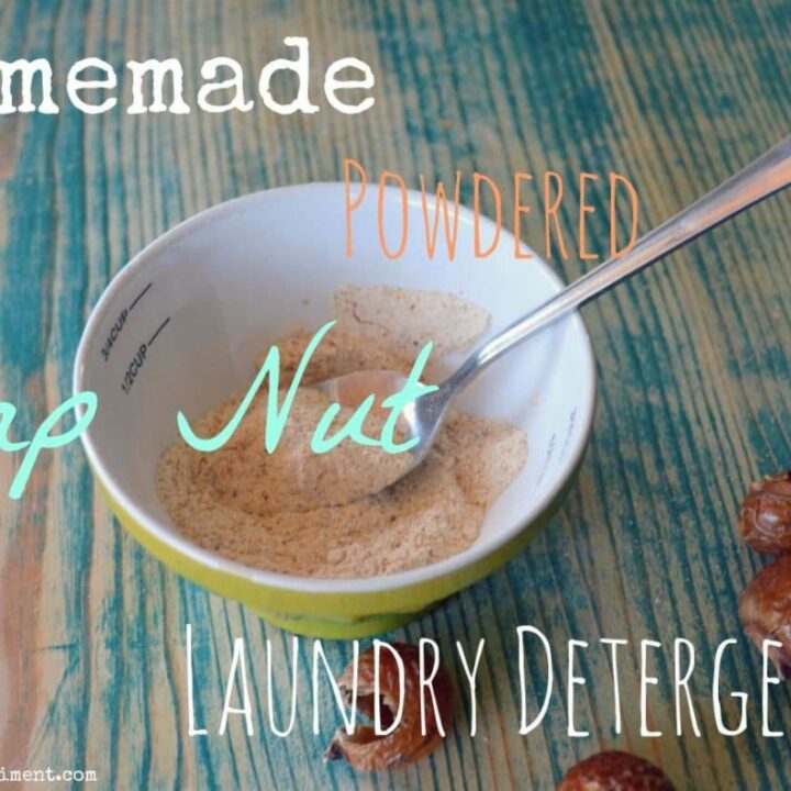 How To Make & Use Homemade Powder Soap Nuts Laundry Detergent How To Make & Use Homemade Powder Soap Nuts Laundry Detergent