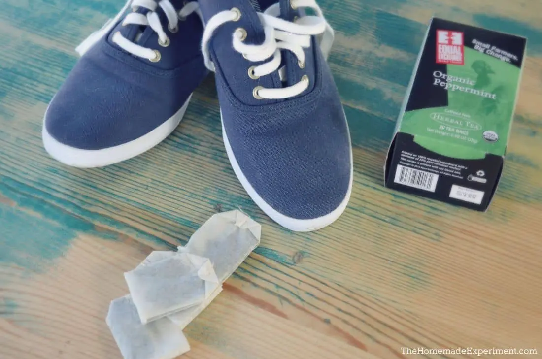 Homemade Shoe Deodorizer With Tea Bags | What You Need