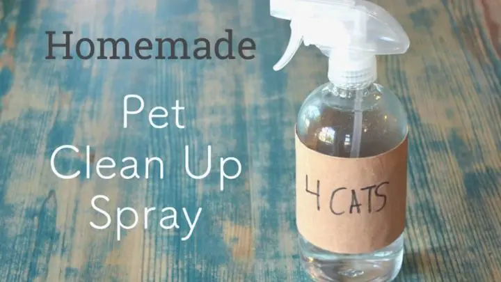 Homemade deodorizer best sale spray for dogs