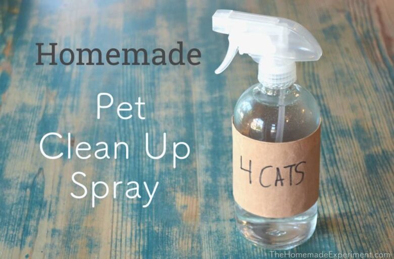 How To Make Homemade Pet Stain & Odor Spray