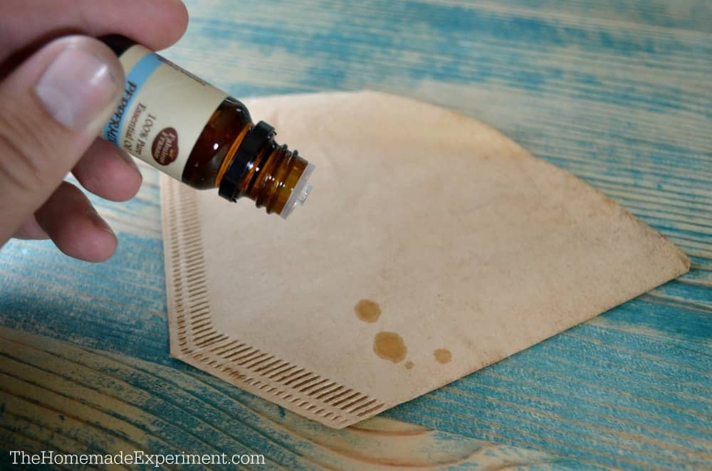 diy charcoals shoe deodorizers add essential oils