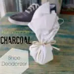 Finished Charcoal Shoe Deodorizer