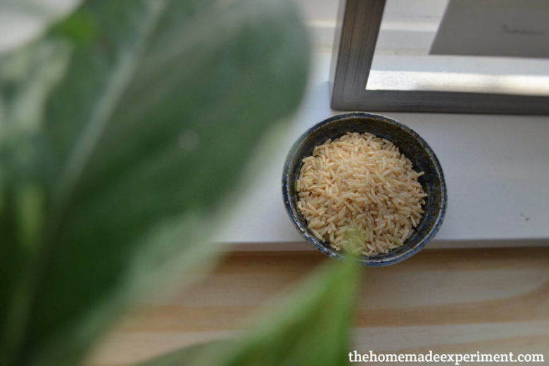 Easy Rice & Essential Oil Air Freshener Diffuser Recipe