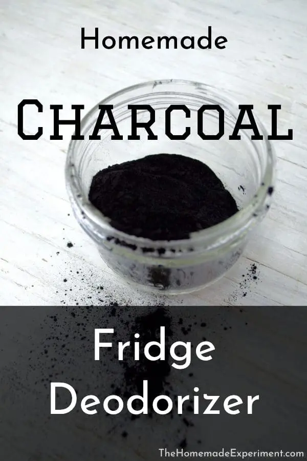 Homemade diy charcoal fridge deodorizer the will keep your fridge smelling great!