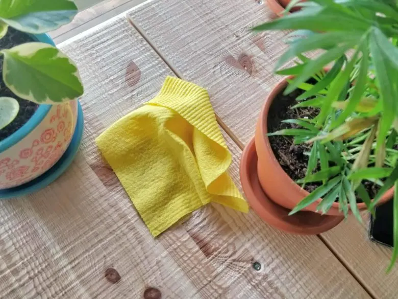 Alternative to bamboo paper towels