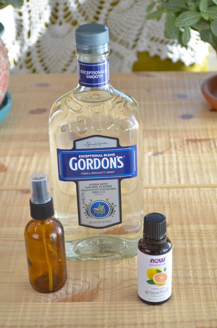 Homemade Hand Sanitizer Spray (Without Aloe Vera)