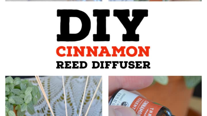 DIY Cinnamon Reed Diffuser