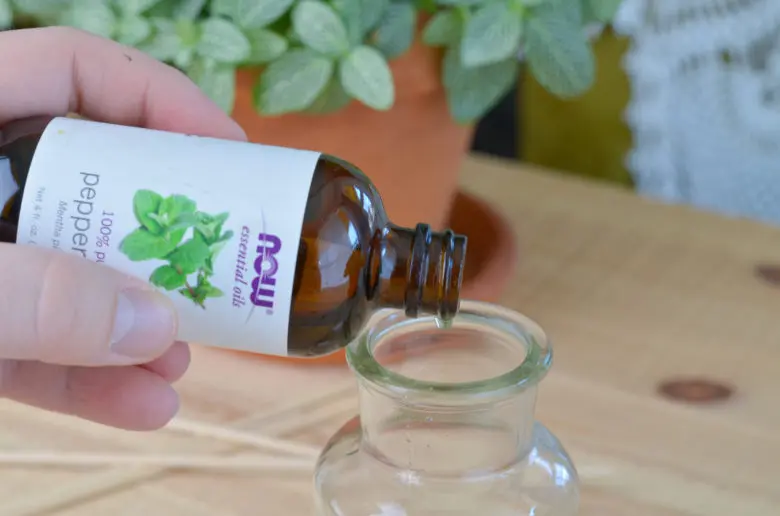 Add peppermint essential oils to diffuser container