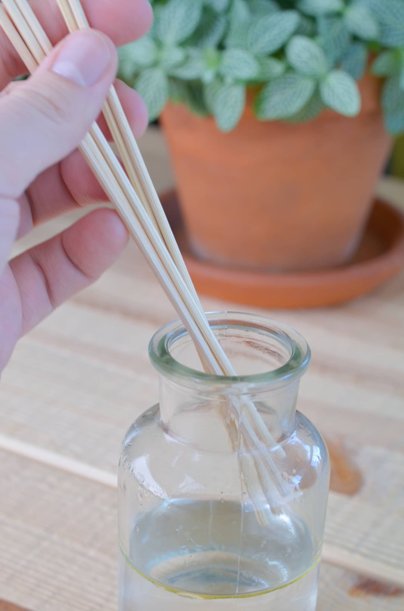 Add 5-7 rattan reeds to your diffuser container